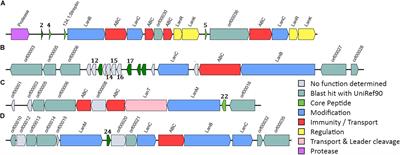 Design and Expression of Specific Hybrid Lantibiotics Active Against Pathogenic Clostridium spp.